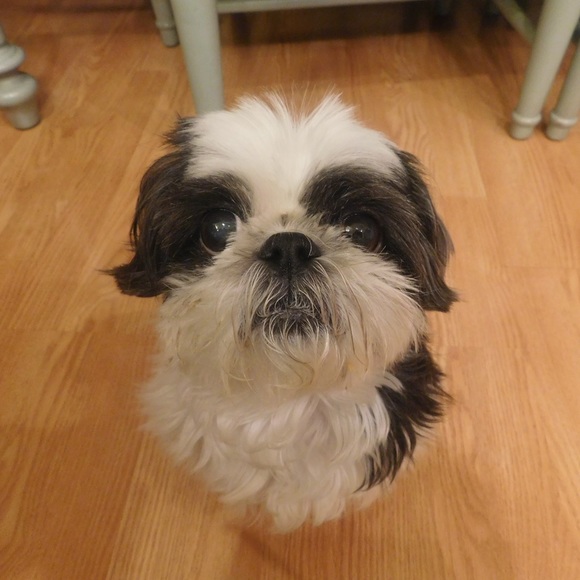 Meet me! 🐇✨ - Picture 2 of 3